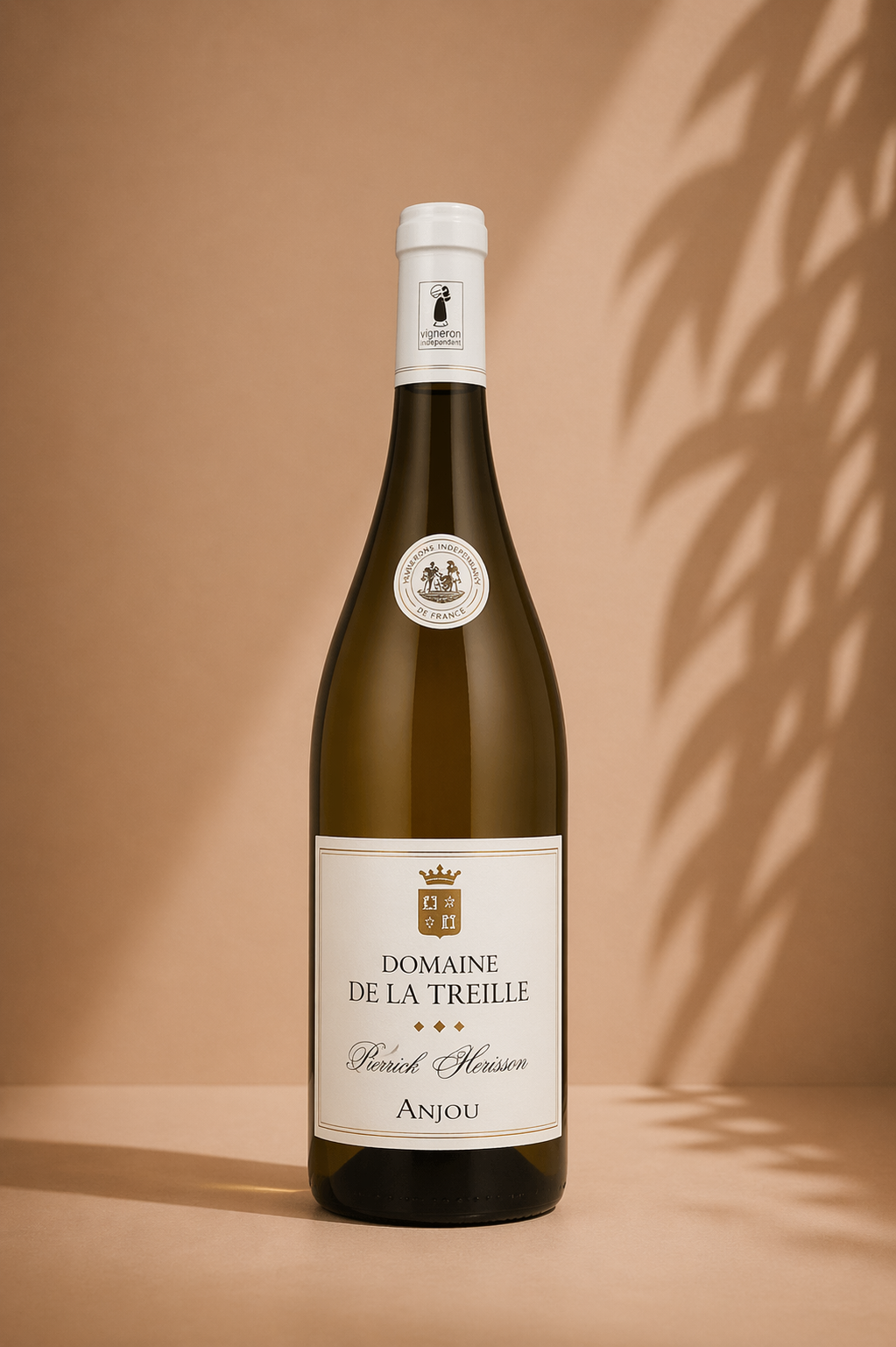 Domaine de la Treille Blanc Anjou 2023