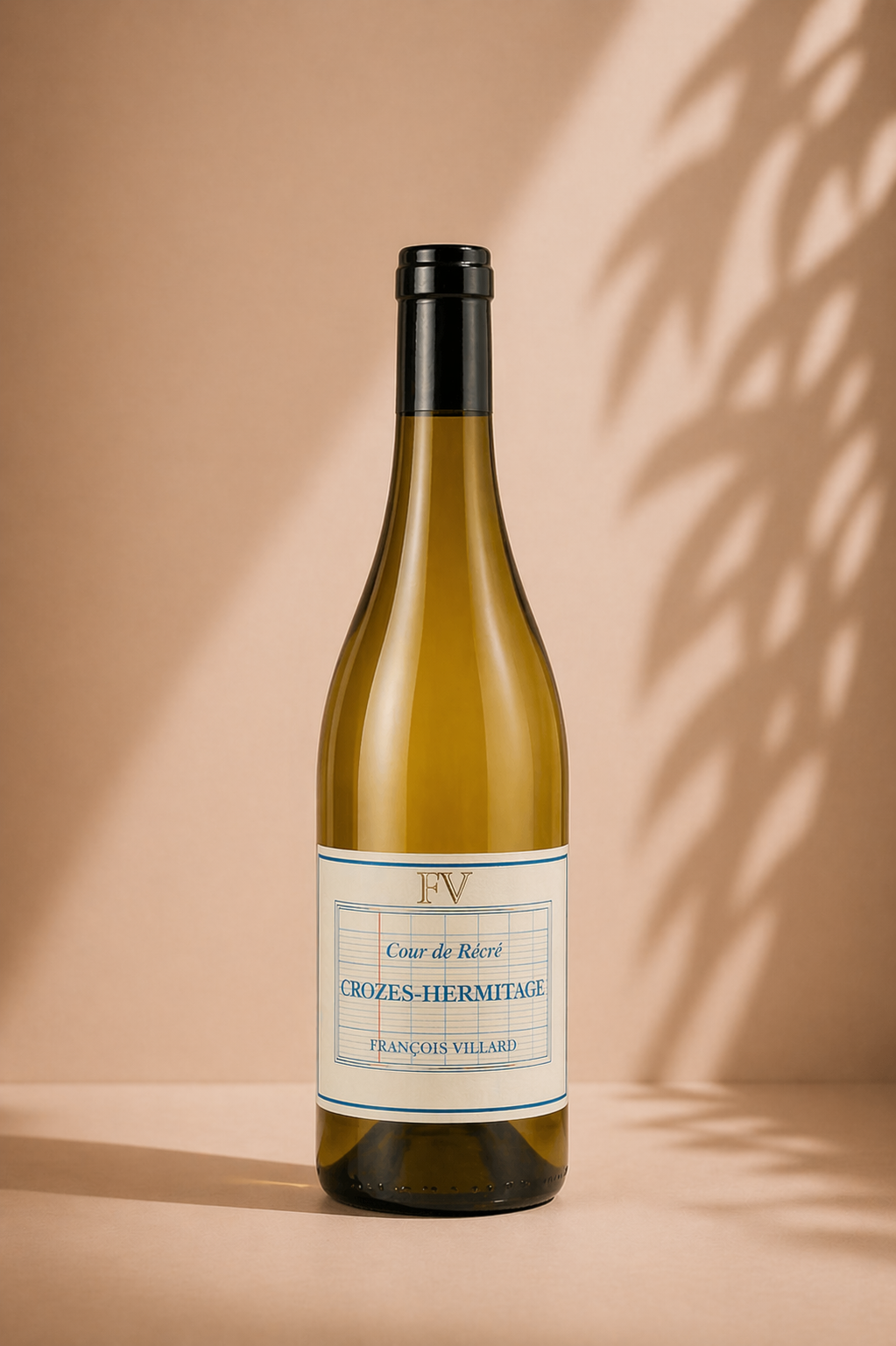 Domaine François Villard Hermitage Cour de Recre 2023 blanc