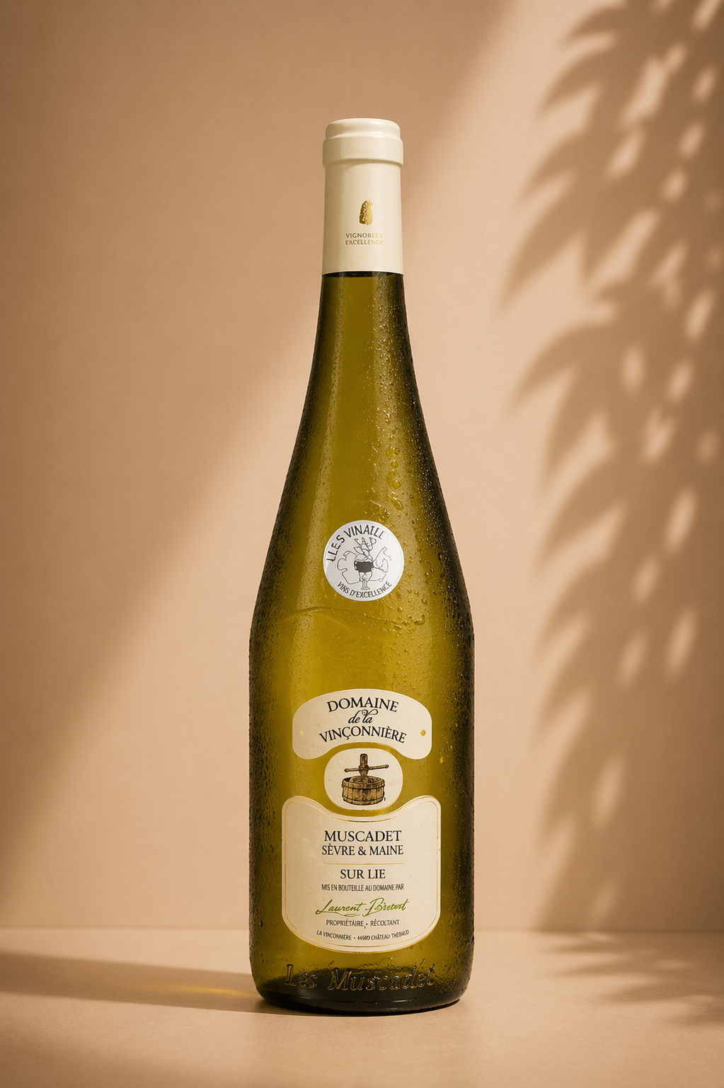 Collégiale des Domaines de Loire Muscadet Sèvre & Maine 2023