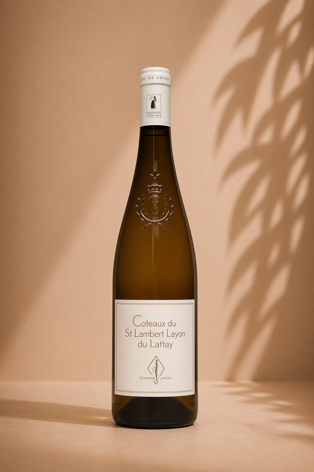 Domaine de Clayou Coteaux du Layon St Lambert 2018